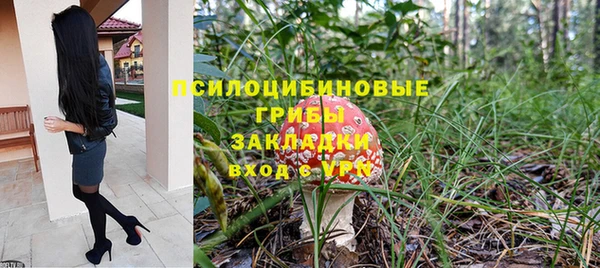 твердый Армянск