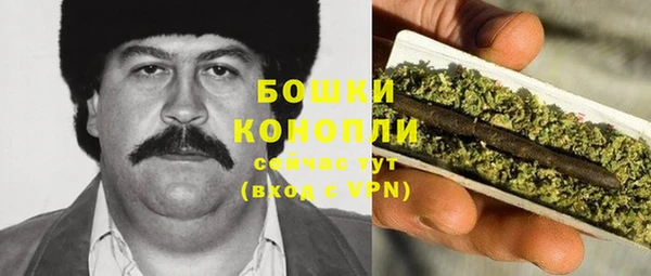 мет Арсеньев