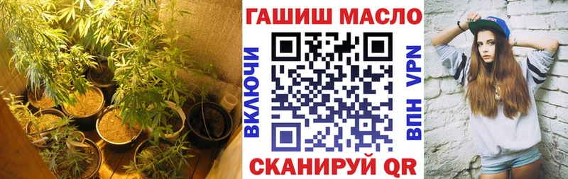 Купить где  Дмитров  ТГК гашишное масло 