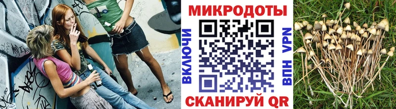 Псилоцибиновые грибы мицелий Купить Дмитров